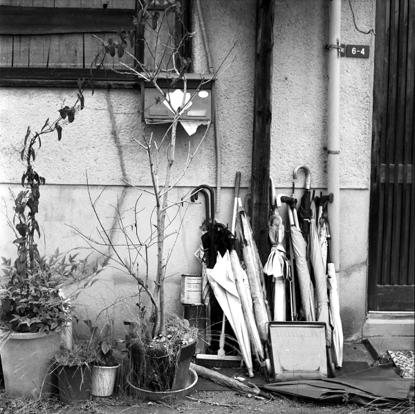 Decay Decay