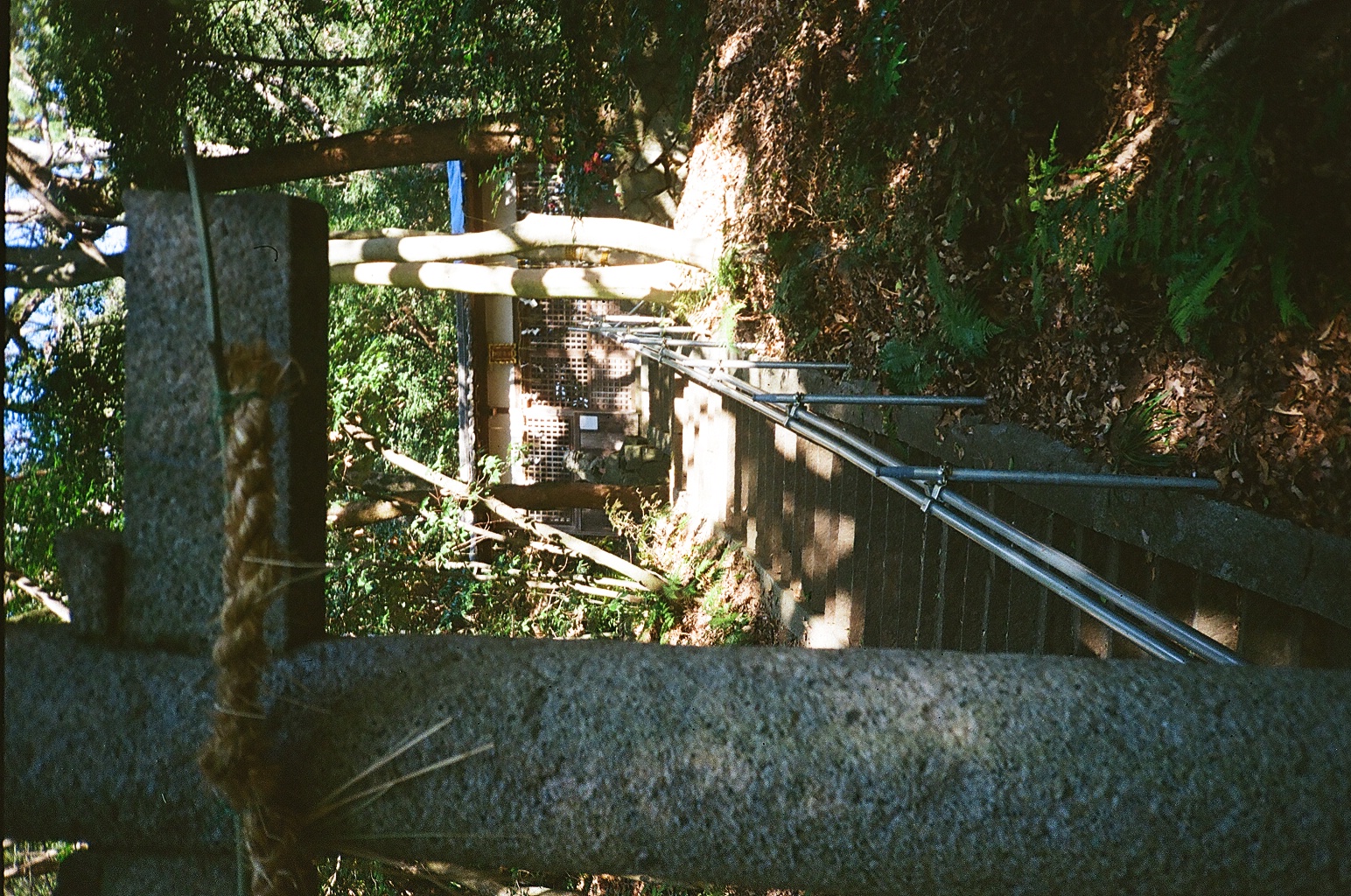 Hiden Temple in forest