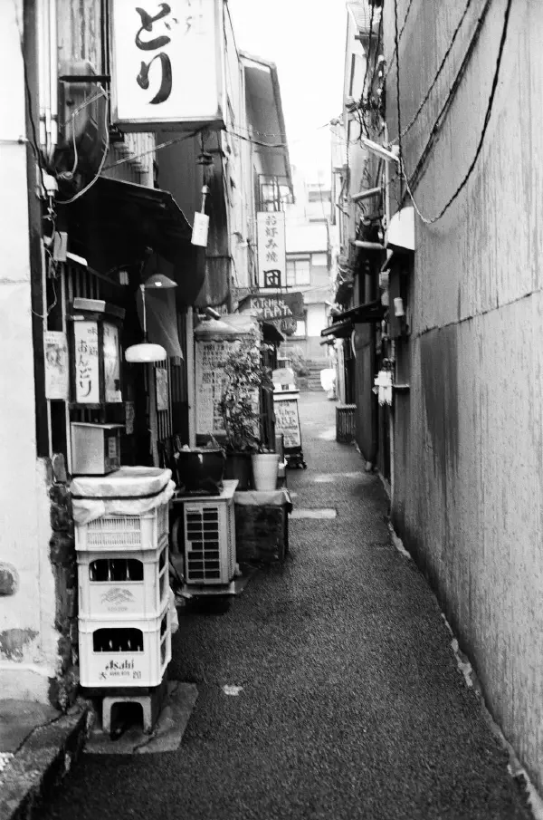 Old Nara Old Nara