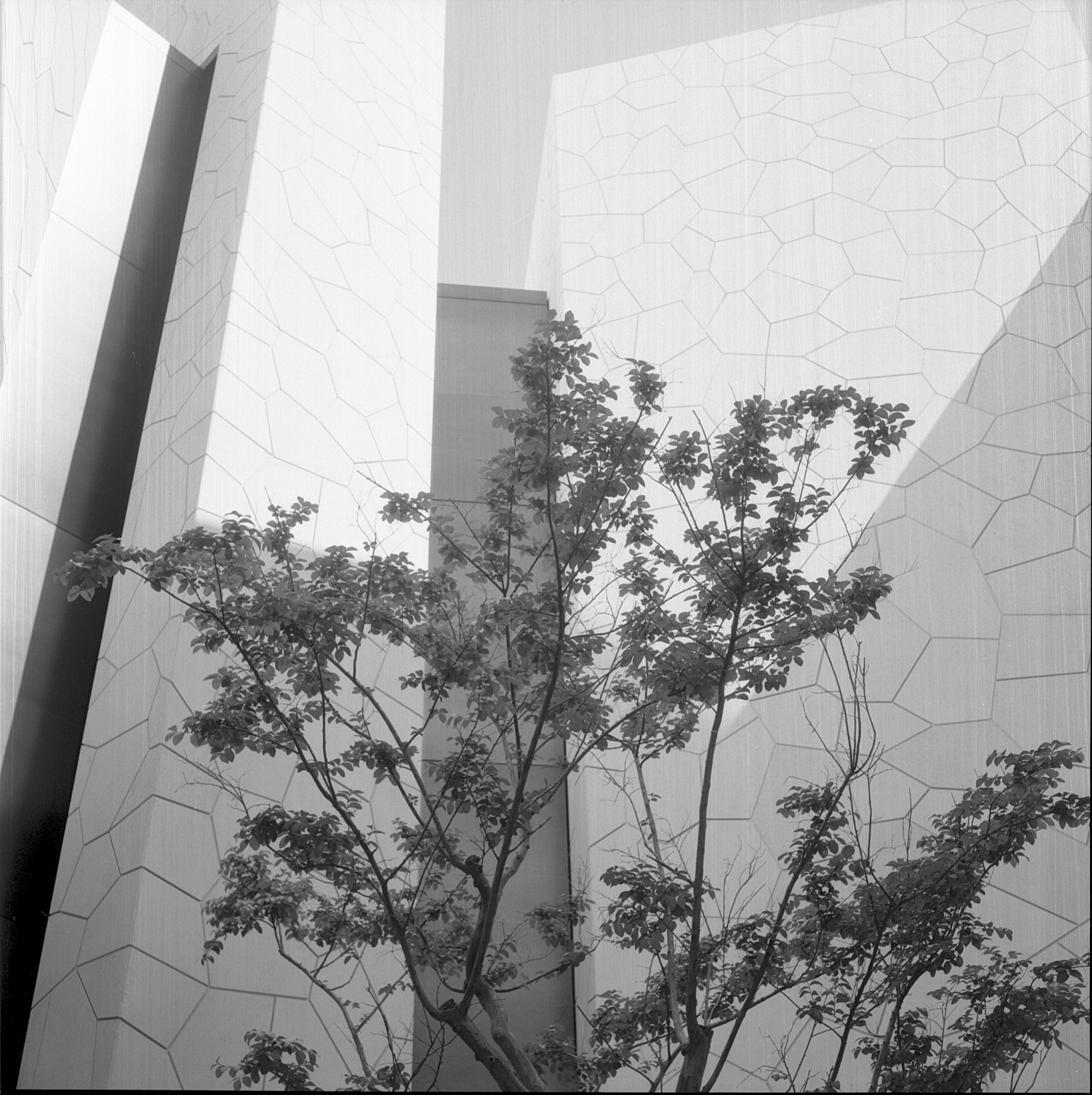 Saudi Arabia Pavillon Osaka Expo 2025