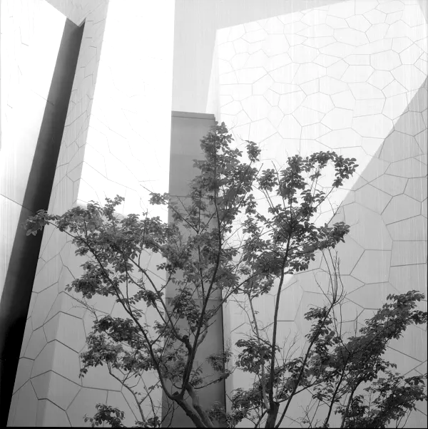 Saudi Arabia Pavillon Osaka Expo 2025